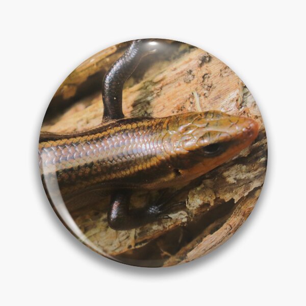 Item preview, Skink designed and sold by Parks and X.