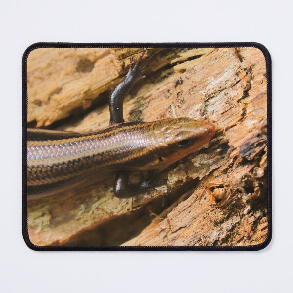 Item preview, Skink designed and sold by Parks and X.
