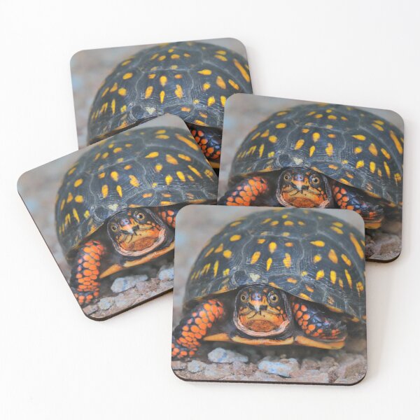 Item preview, Box turtle  designed and sold by Parks and X.
