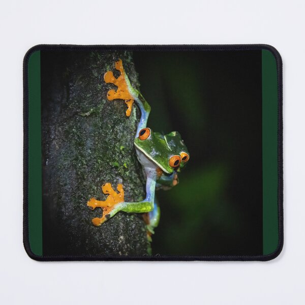 Item preview, Red-eyed tree frogs mating. designed and sold by Shannon Emmel .