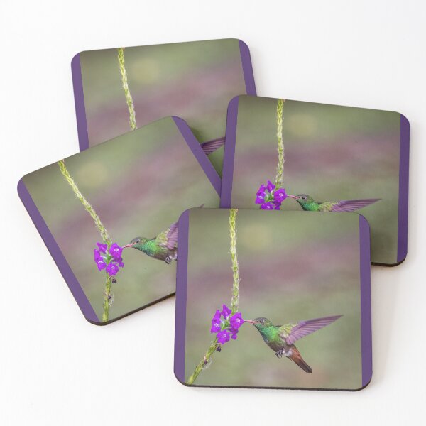 Item preview, Rufous-tailed hummingbird feeding.  designed and sold by Shannon Emmel .
