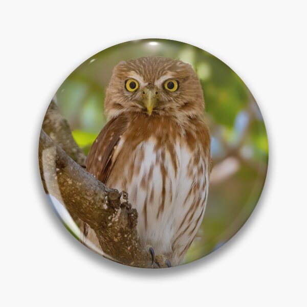Item preview, Ferruginous pygmy owl designed and sold by Shannon Emmel .