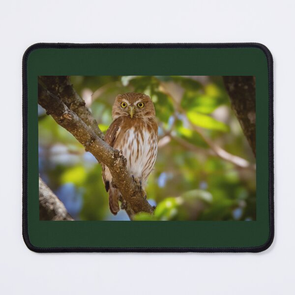 Item preview, Ferruginous pygmy owl designed and sold by Shannon Emmel .