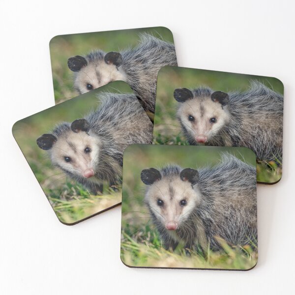 Item preview, Opossum  designed and sold by Shannon Emmel .