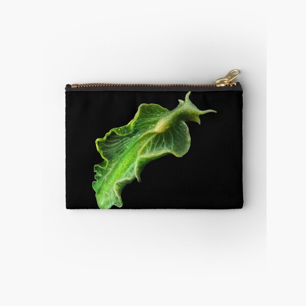 Item preview, In the deep ocean, an emerald-green Elysia chlorotica sea slug with translucent, leaflike parapodia glides gracefully, its body sustained by photosynthesis from stolen algal chloroplasts. designed and sold by mirrorimages.