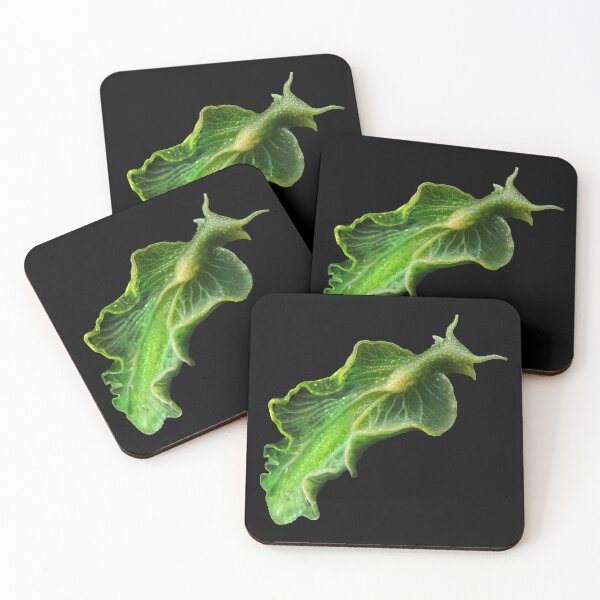 Item preview, In the deep ocean, an emerald-green Elysia chlorotica sea slug with translucent, leaflike parapodia glides gracefully, its body sustained by photosynthesis from stolen algal chloroplasts. designed and sold by mirrorimages.