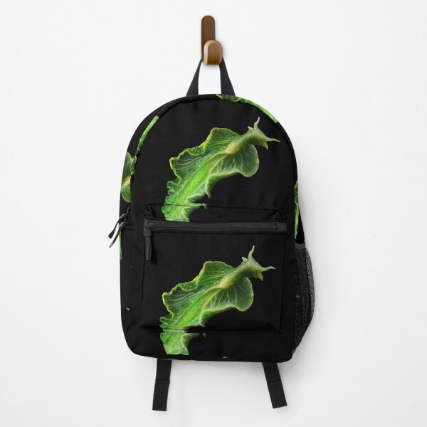Item preview, In the deep ocean, an emerald-green Elysia chlorotica sea slug with translucent, leaflike parapodia glides gracefully, its body sustained by photosynthesis from stolen algal chloroplasts. designed and sold by mirrorimages.