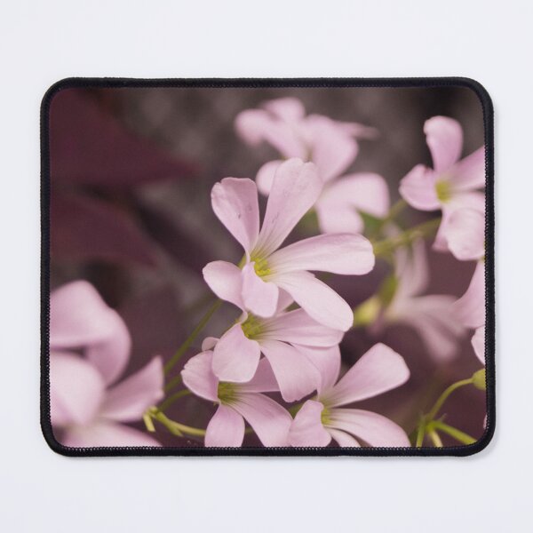 Item preview, Oxalis triangularis designed and sold by ROSE ANN BANILAR.