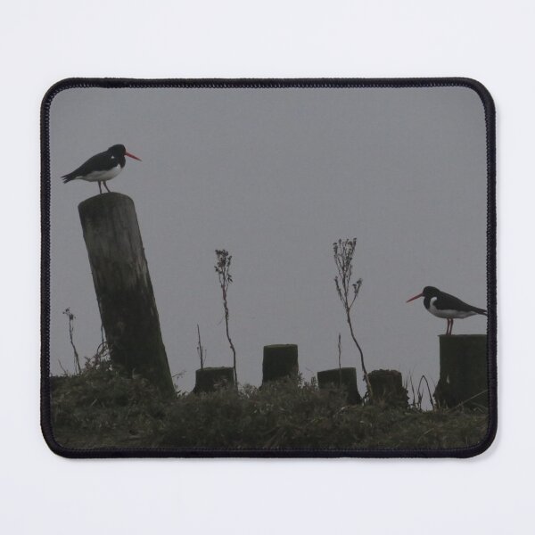 Item preview, Two Oystercatchers designed and sold by wiggyofipswich.