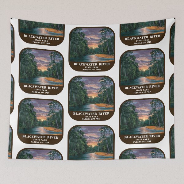Item preview, Vintage Blackwater River State Park (Florida State Park) designed and sold by RabbitK.