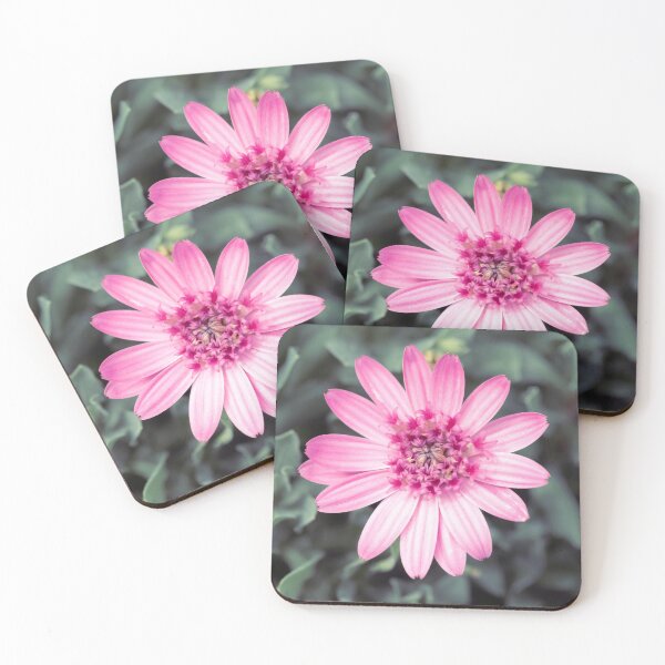 Item preview, Osteospermum Margarita  designed and sold by Tanya C  Smith.