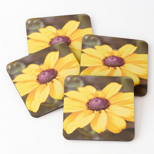 Aperçu de l'œuvre Rudbeckia Sunburst Solar créée et vendue par Tanya C Smith.