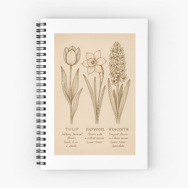 Item preview, Minimal Botanical Study designed and sold by Riverside-Moon.
