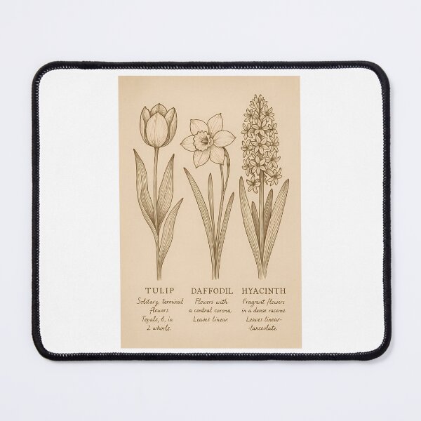 Item preview, Minimal Botanical Study designed and sold by Riverside-Moon.