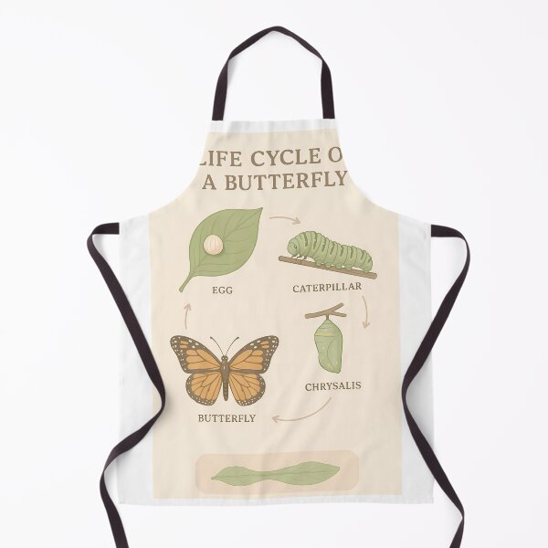 Item preview, Butterfly Life Cycle Infographic designed and sold by Riverside-Moon.
