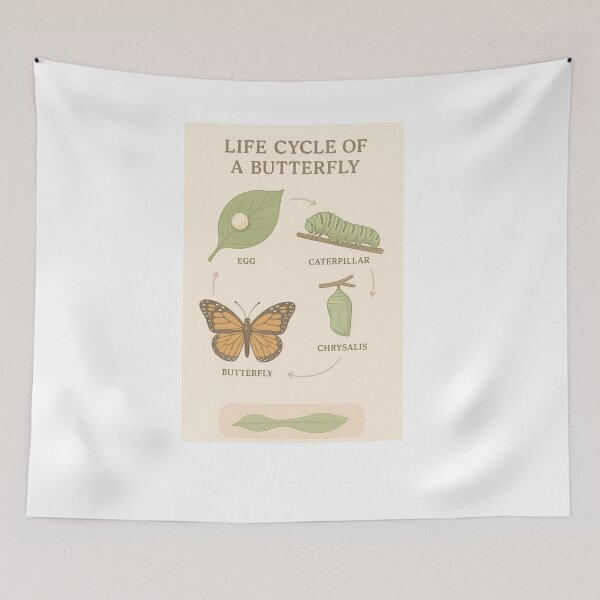 Item preview, Butterfly Life Cycle Infographic designed and sold by Riverside-Moon.