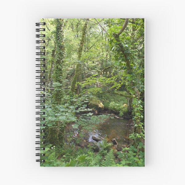 Item preview, The River Teign designed and sold by Alexandra Lavizzari.