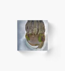The Giant's Organ Pipes Acrylic Block