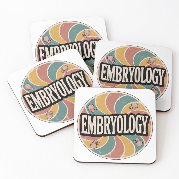 Item preview, embryology vintage Sticker designed and sold by Dospart.
