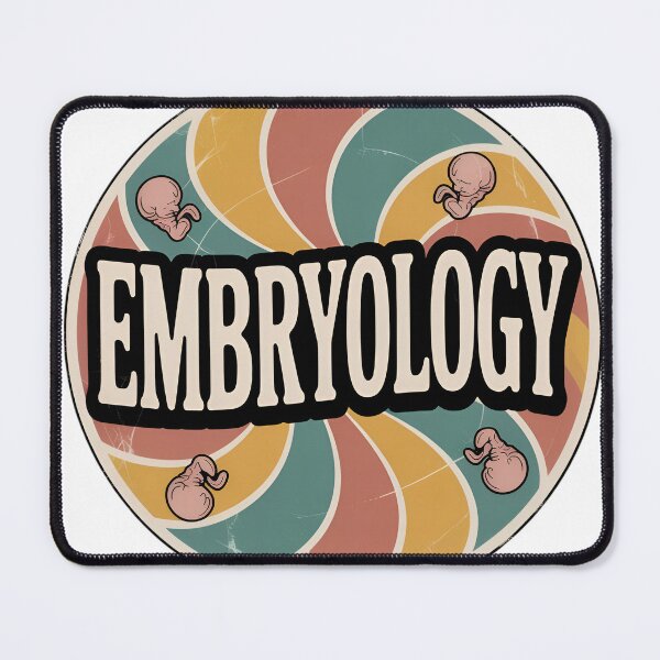 Item preview, embryology vintage Sticker designed and sold by Dospart.