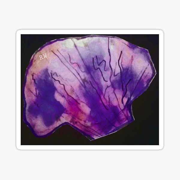 Item preview, "Shell Burst" designed and sold by rondo artworks.