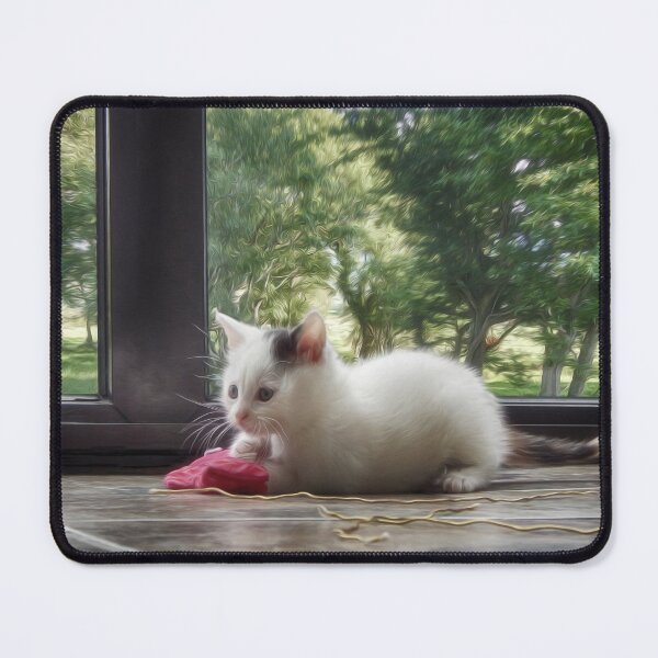 Item preview, A kitten playing in sunroom designed and sold by ire99bella.