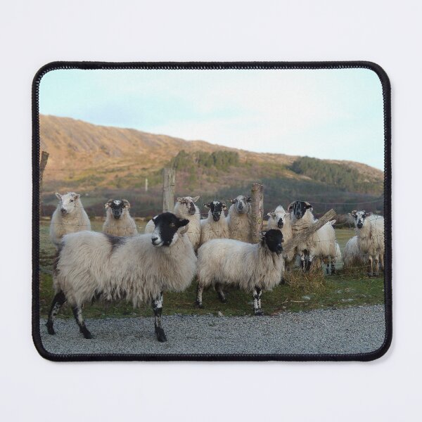 Item preview, Sheep on the road designed and sold by ire99bella.