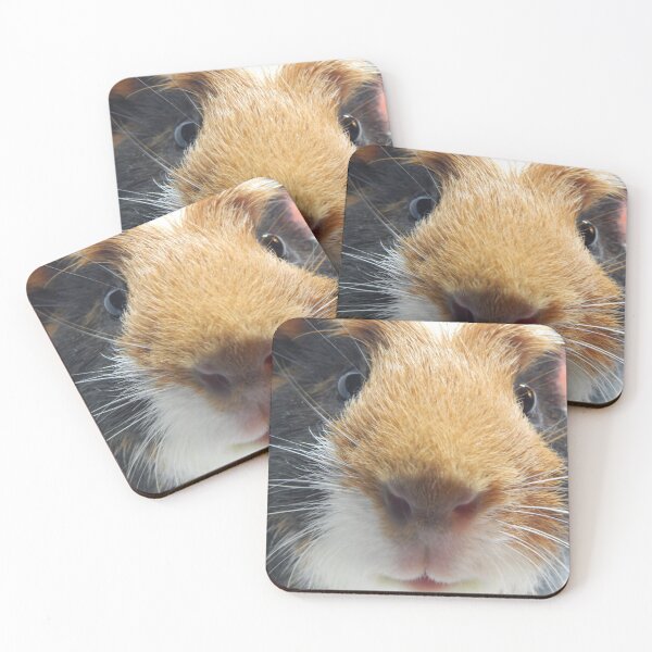 Item preview, Guinea Pig designed and sold by ire99bella.