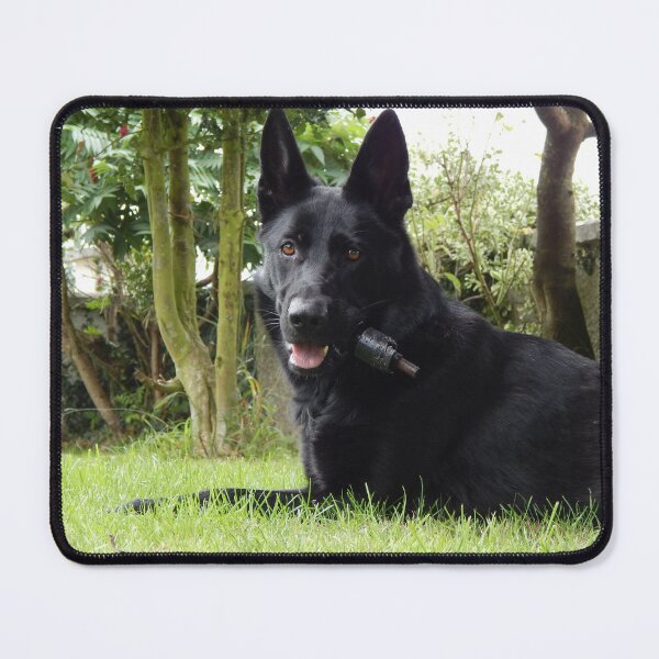Item preview, Black German Shepherd designed and sold by ire99bella.