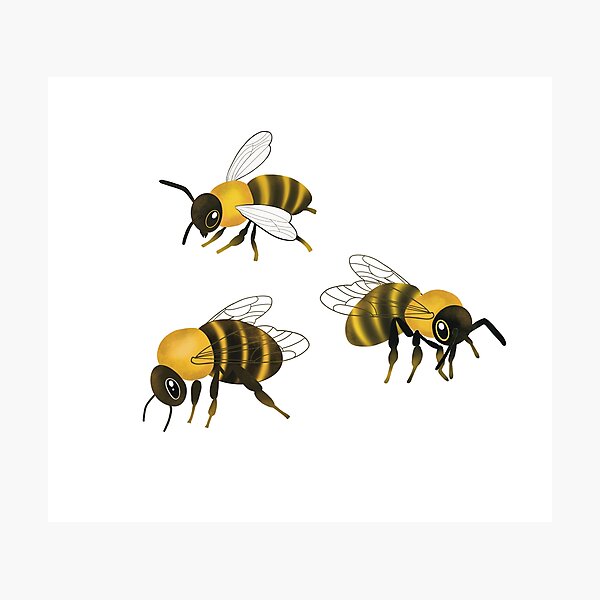 Item preview, Three Bees designed and sold by IwonaKpn.