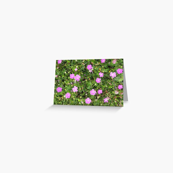 Item preview, Bloody Cranesbill designed and sold by John Quinn.
