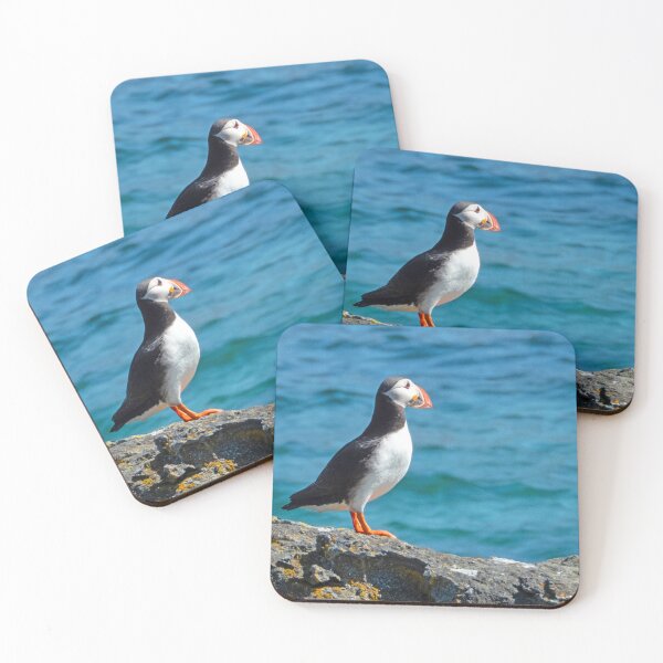 Item preview, Lone puffin in Iceland designed and sold by HazelWright.