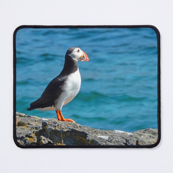 Item preview, Lone puffin in Iceland designed and sold by HazelWright.