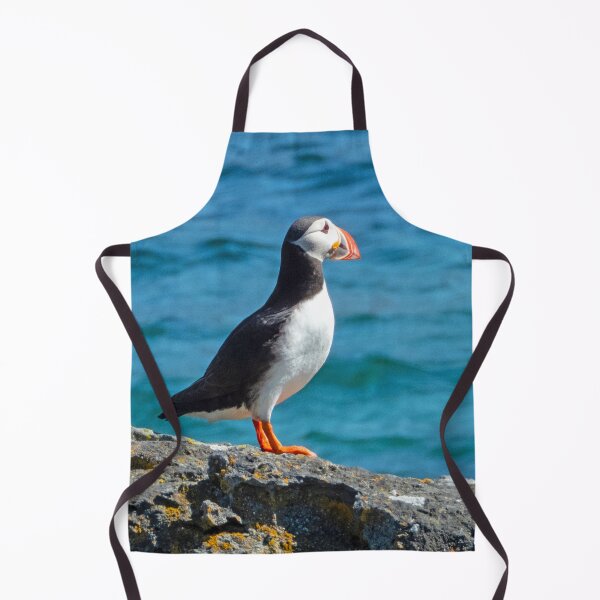 Item preview, Lone puffin in Iceland designed and sold by HazelWright.