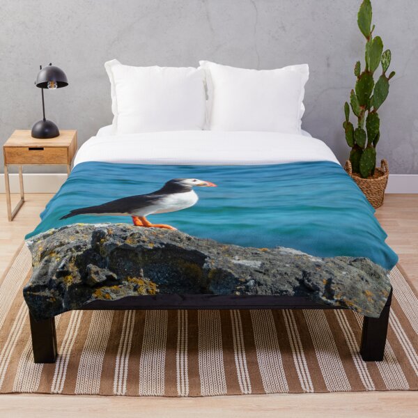 Item preview, Frailecillo solitario en Islandia designed and sold by HazelWright.