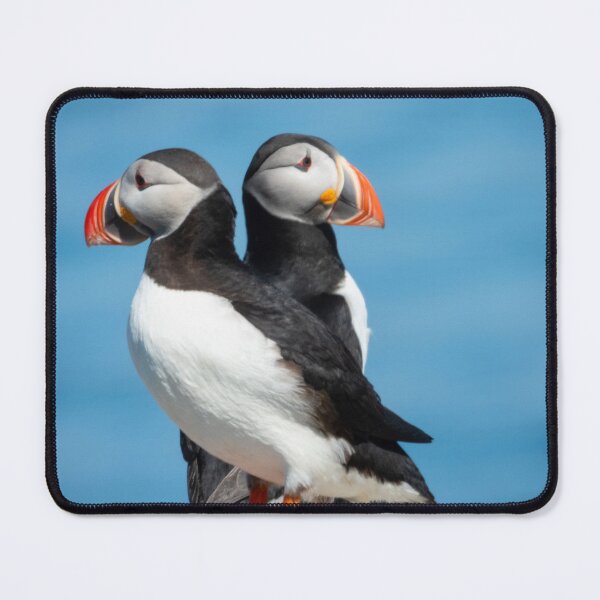 Item preview, A pair of puffins designed and sold by HazelWright.