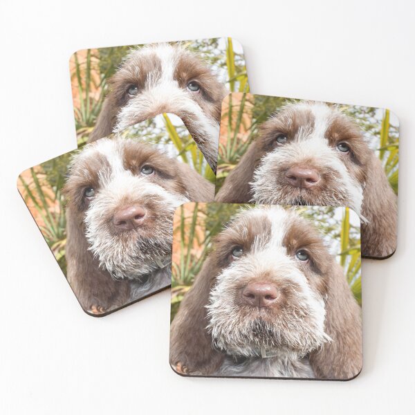 Item preview, Adorable Brown Roan Italian Spinone Puppy – Gentle Gaze by heidiannemorris © designed and sold by FOLK ART FUSION by heidiannemorris.