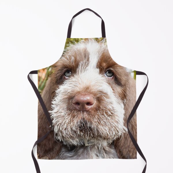 Item preview, Adorable Brown Roan Italian Spinone Puppy – Gentle Gaze by heidiannemorris © designed and sold by FOLK ART FUSION by heidiannemorris.