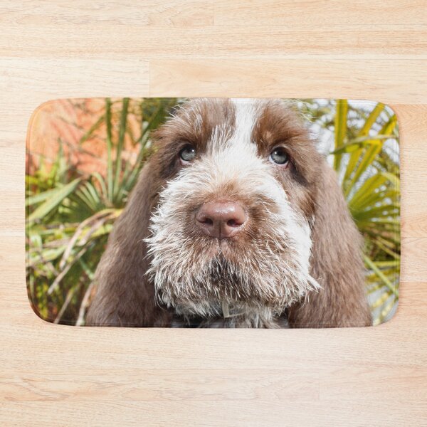 Item preview, Adorable Brown Roan Italian Spinone Puppy – Gentle Gaze by heidiannemorris © designed and sold by FOLK ART FUSION.