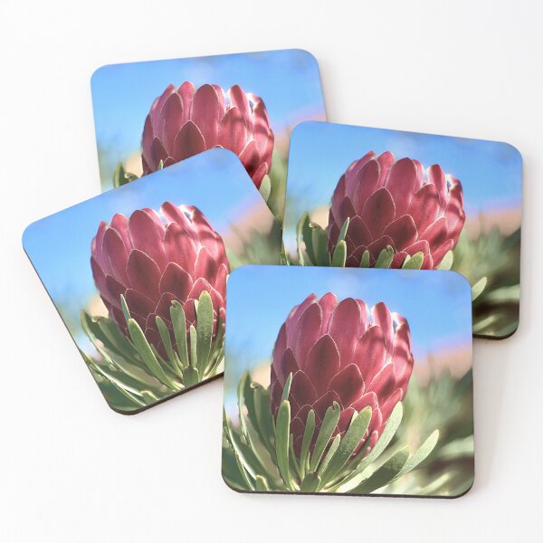 Aperçu de l'œuvre Fleur de Protea créée et vendue par archieswell.