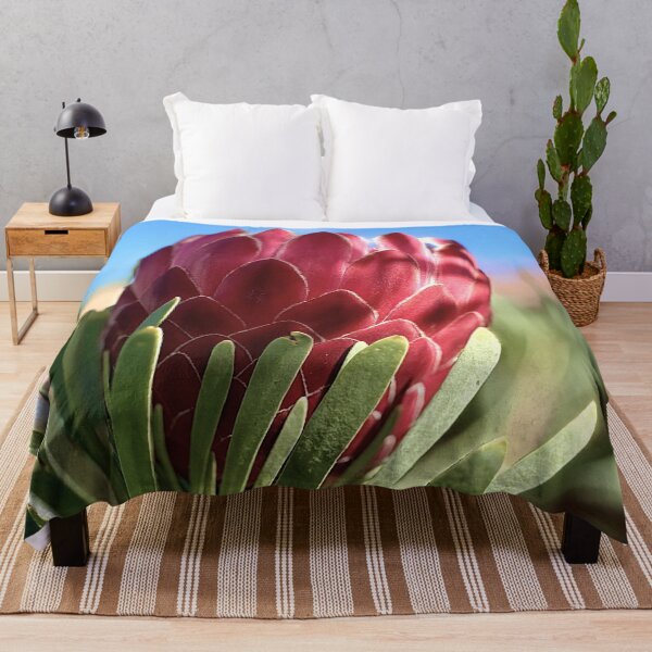Aperçu de l'œuvre Fleur de Protea créée et vendue par archieswell.