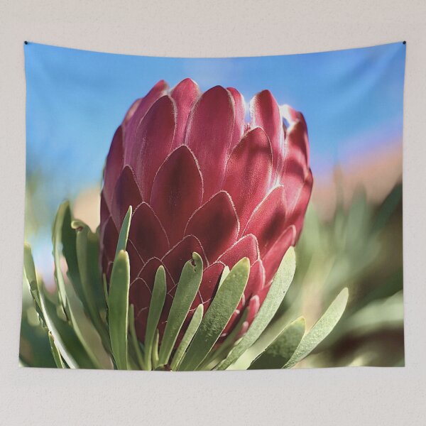 Aperçu de l'œuvre Fleur de Protea créée et vendue par archieswell.