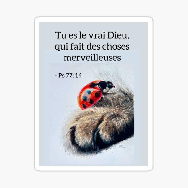 Aperçu de l'œuvre Dieu fait des choses merveilleuses  créée et vendue par NathBros.