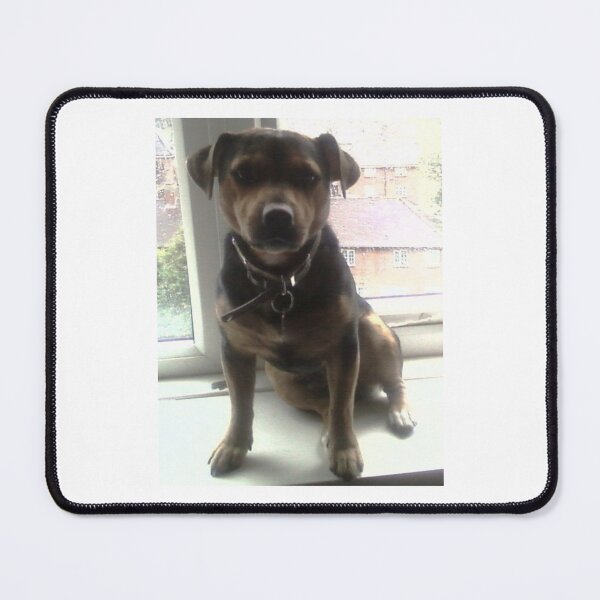 Item preview, Jack Russell designed and sold by WelcomeUall.