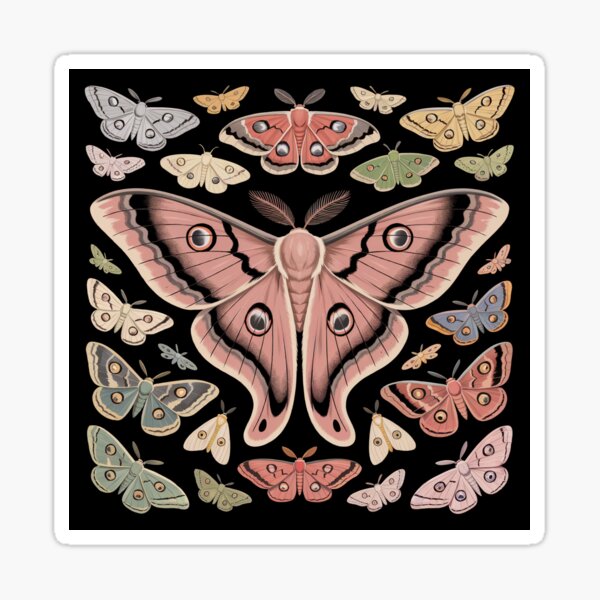 Item preview, Mystische Motten auf Schwarz – Vintage-Radierungsstil designed and sold by wykrotaart.