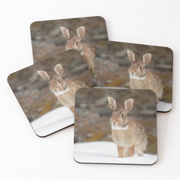 Item preview, Eastern Cottontail rabbit designed and sold by James Cumming.