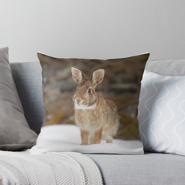 Item preview, Eastern Cottontail rabbit designed and sold by James Cumming.