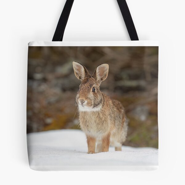 Item preview, Eastern Cottontail rabbit designed and sold by James Cumming.