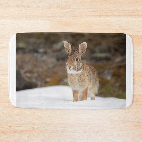 Item preview, Eastern Cottontail rabbit designed and sold by James Cumming.