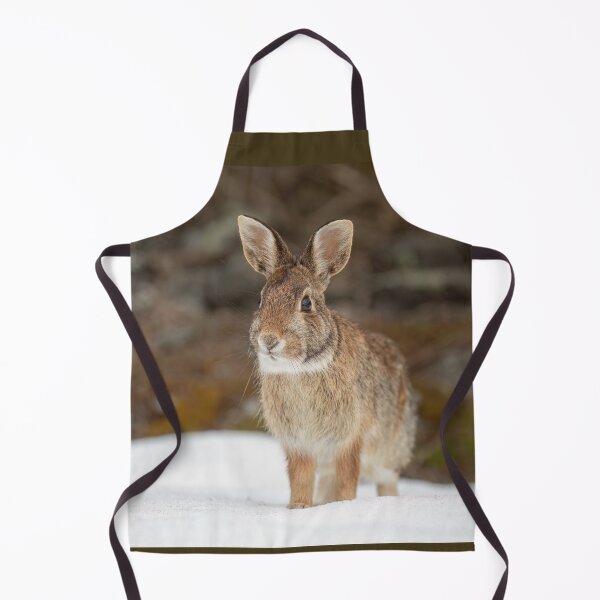 Item preview, Eastern Cottontail rabbit designed and sold by James Cumming.